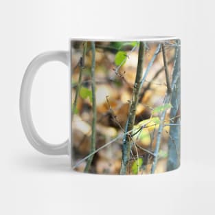 Female Northern Cardinal In The Bushes Mug